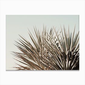 Tropical Palms Canvas Print