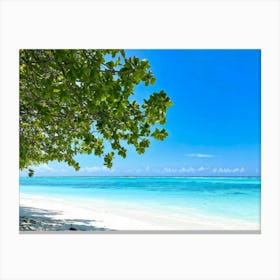 Relax Ocean Plant Idylli Holiday Coastline Beautiful Calm Shore Blue Paradise Sunlight N (19) Canvas Print