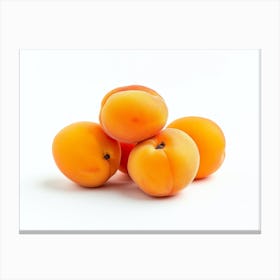 Apricots 8 Canvas Print