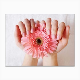 Pink Flower Canvas Print