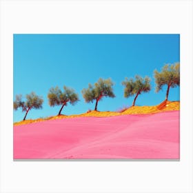 Pink Sand Dunes Canvas Print