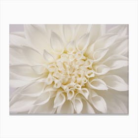 White Dahlia Flower Canvas Print