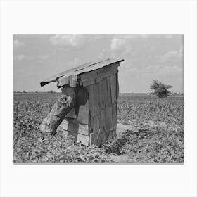 Privy Of Sharecropper, New Madrid County, Missouri By Russell Lee Canvas Print