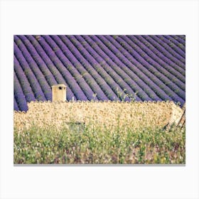 Typical Provence Canvas Print