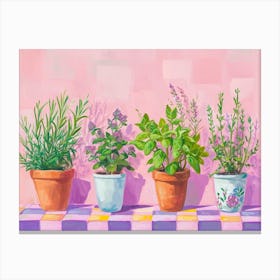 Potted Herbs On A Windowsil Pink Checkerboard 2 Canvas Print