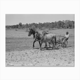 Untitled Photo, Possibly Related To Faro Caudill Planting Beans, Pie Town, New Mexico By Russell Lee Canvas Print