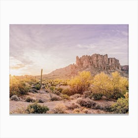 Superstition Desert View Canvas Print