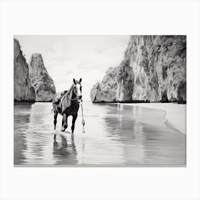 A Horse Oil Painting In Maya Bay, Thailand, Landscape 3 Canvas Print