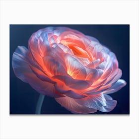 Peony Flower 2 Canvas Print