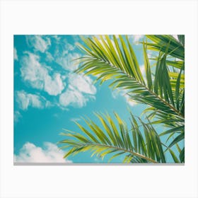 Palm Tree Against Blue Sky 5 Canvas Print