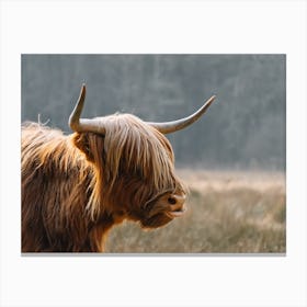 Highland Cow in the field | colorful travel photography 2 Canvas Print