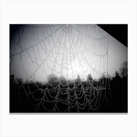 Spider Web black and White Moody Canvas Print