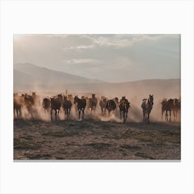 Horse Herd Canvas Print