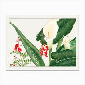 Lathyrus & Calla Lily Flower, Japanese Woodblock Canvas Print