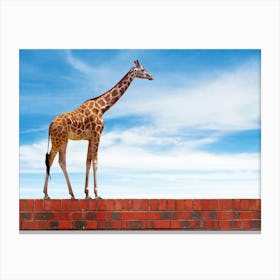 Giraffe Standing On Brick Wall Canvas Print