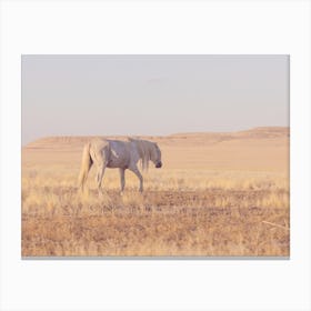 Southwest Horse Canvas Print