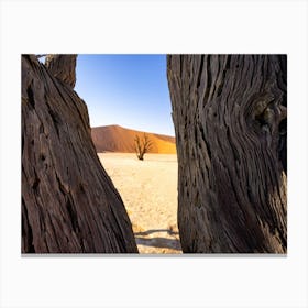 Dried Out Camel Thorn Deadvlei Sossusvlei Namibia Toile