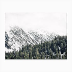 Colorado Winter Mountains Canvas Print