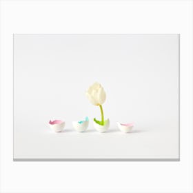 Easter Tulip Canvas Print