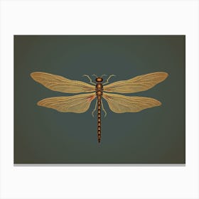 Dragonfly Common Whitetail Plathemis Illustration Vintage 3 Canvas Print
