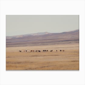 Steppes of Georgia Canvas Print