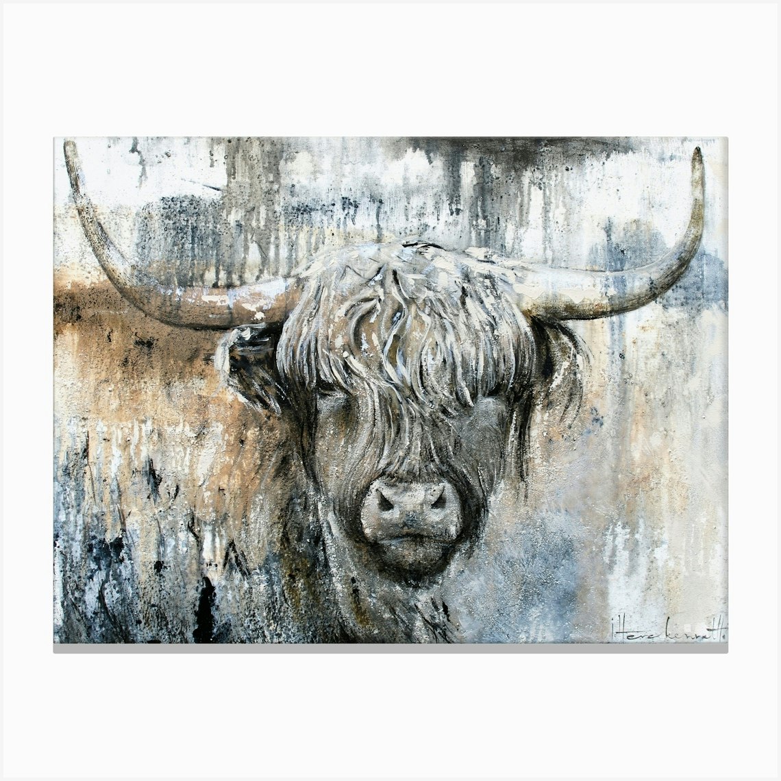 Highlandcow II Canvas Print by Studio Paint-ing