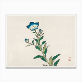Morning Glory, Kōno Bairei Canvas Print