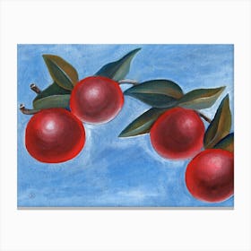 Red Apples 1 Canvas Print