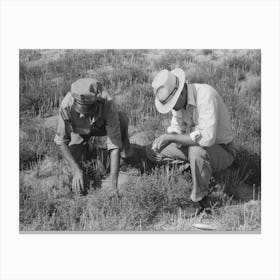 Untitled Photo, Possibly Related To Fsa (Farm Security Administration) Supervisor And Client Looking Among Canvas Print