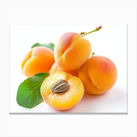 Apricots 11 Canvas Print