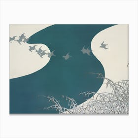 Birds In Flight 2 Canvas Print