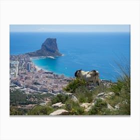 Male mountain goat looks at the Mediterranean coast in Calpe Canvas Print