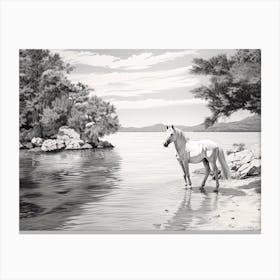 A Horse Oil Painting In Zlatni Rat (Golden Horn Beach), Croatia, Landscape 4 Canvas Print