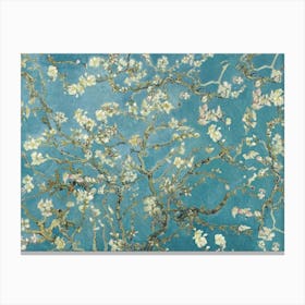 Van Gogh - Almond Canvas Print