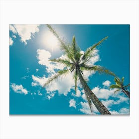 Palm Trees And Blue Sky Canvas Print
