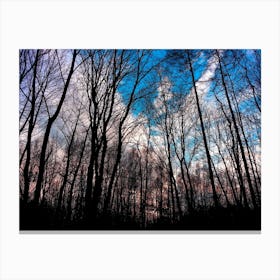 Winter Tree Park Sky Nature Canvas Print