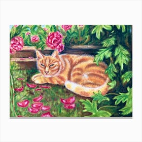 Cat In The Garden Canvas Print