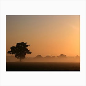 Dawn Mist - Essex England Canvas Print