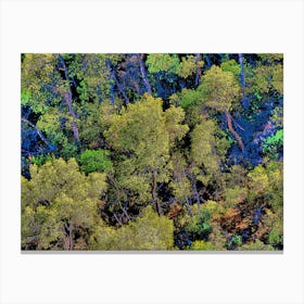 Aerial View Of A Forest 202308311700112rt1pub Canvas Print