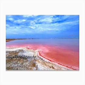 Pink Salt Lake in Walvis Bay, Namibia (Africa Series) Canvas Print