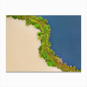 Aerial View Of A River And Trees Canvas Print