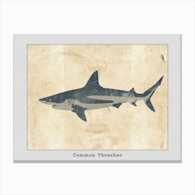 Common Thresher Shark Silhouette 3 Poster Canvas Print