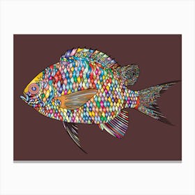 Colorful Fish Canvas Print