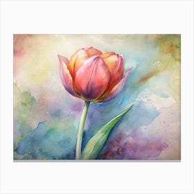 Tulip Canvas Print