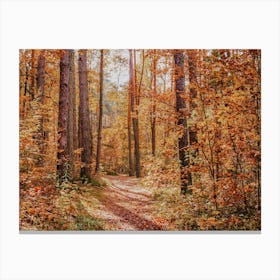 Fall Color Forest Canvas Print