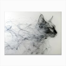 Smokey Cat 1 Canvas Print