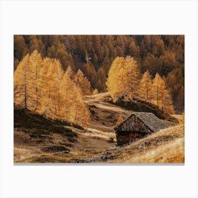 Abandoned Forest Cabin Canvas Print