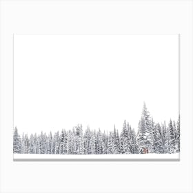 Edge Of Snowy Forest Canvas Print