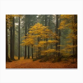 Autumn Forest 41 Canvas Print