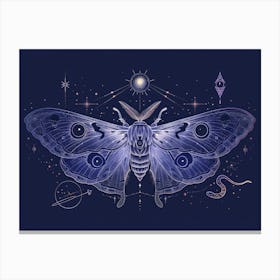 Moth Illustration 3 Canvas Print